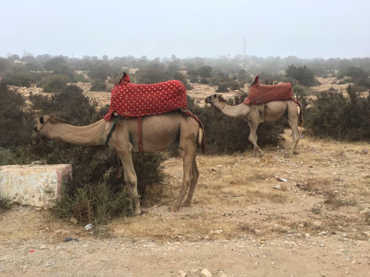 Traditional Moroccan House タガズー エクステリア 写真